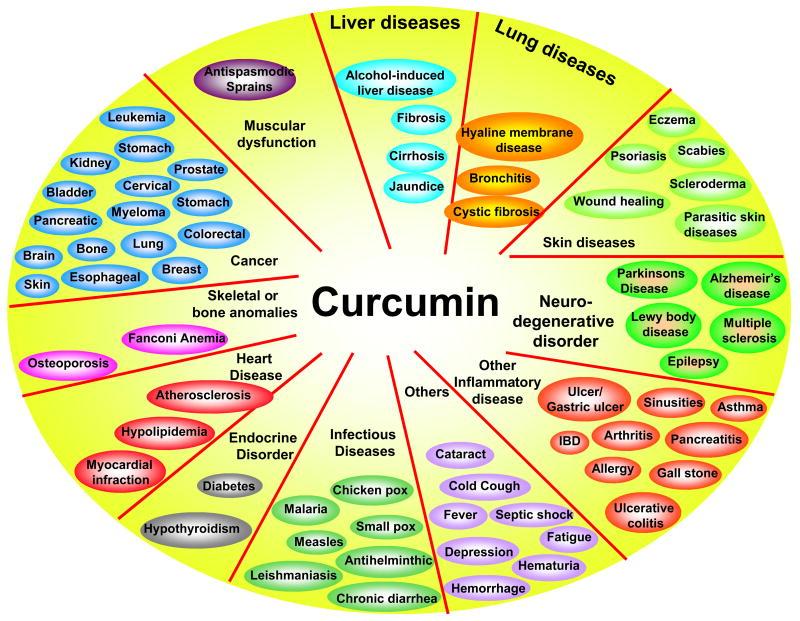 クルクミンが有効な炎症性疾患例の図