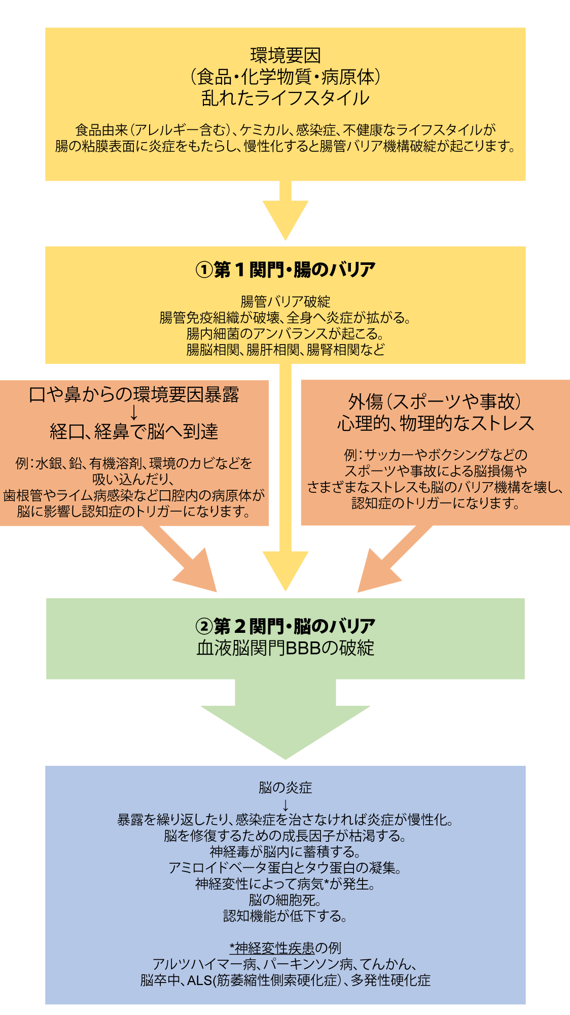 認知症のチャート